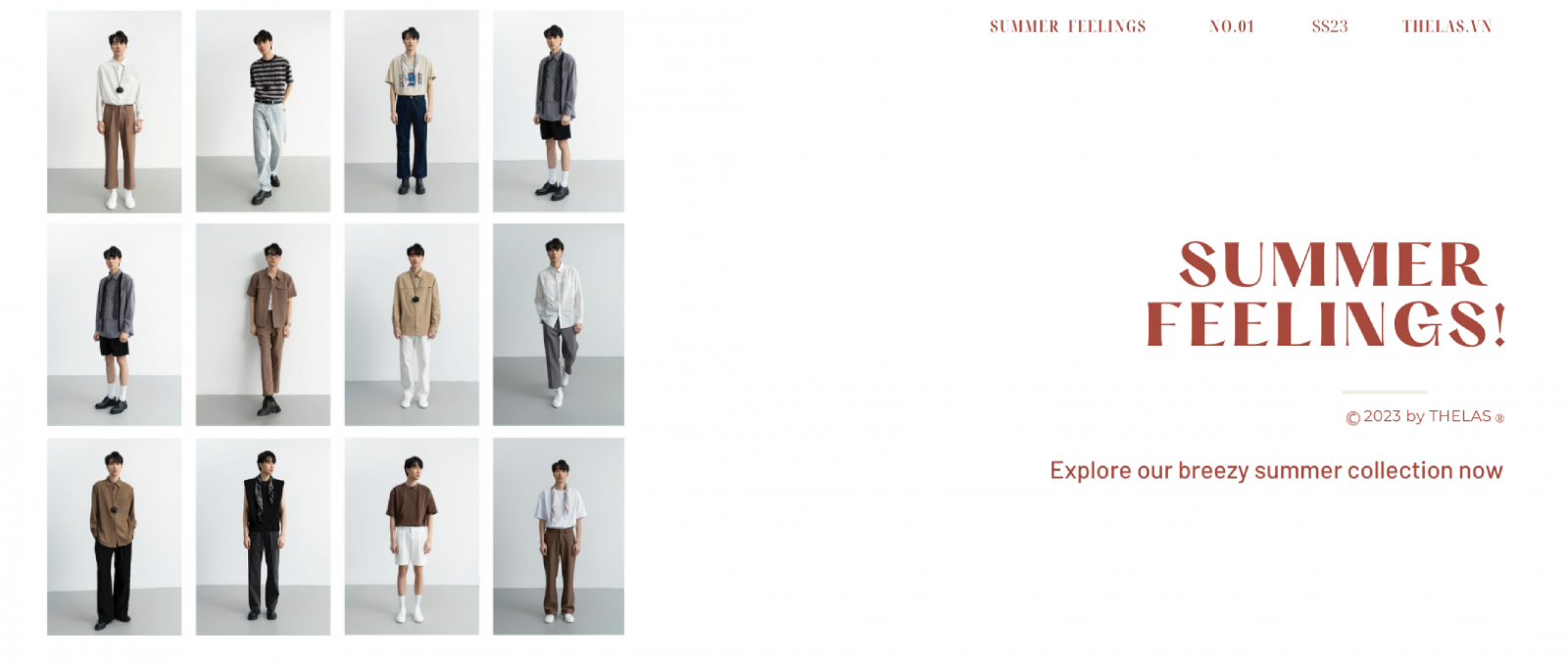 New collection